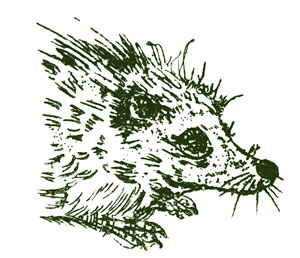 logo-igelberatung-hannover